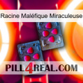 Racine Maléfique Miraculeuse 14